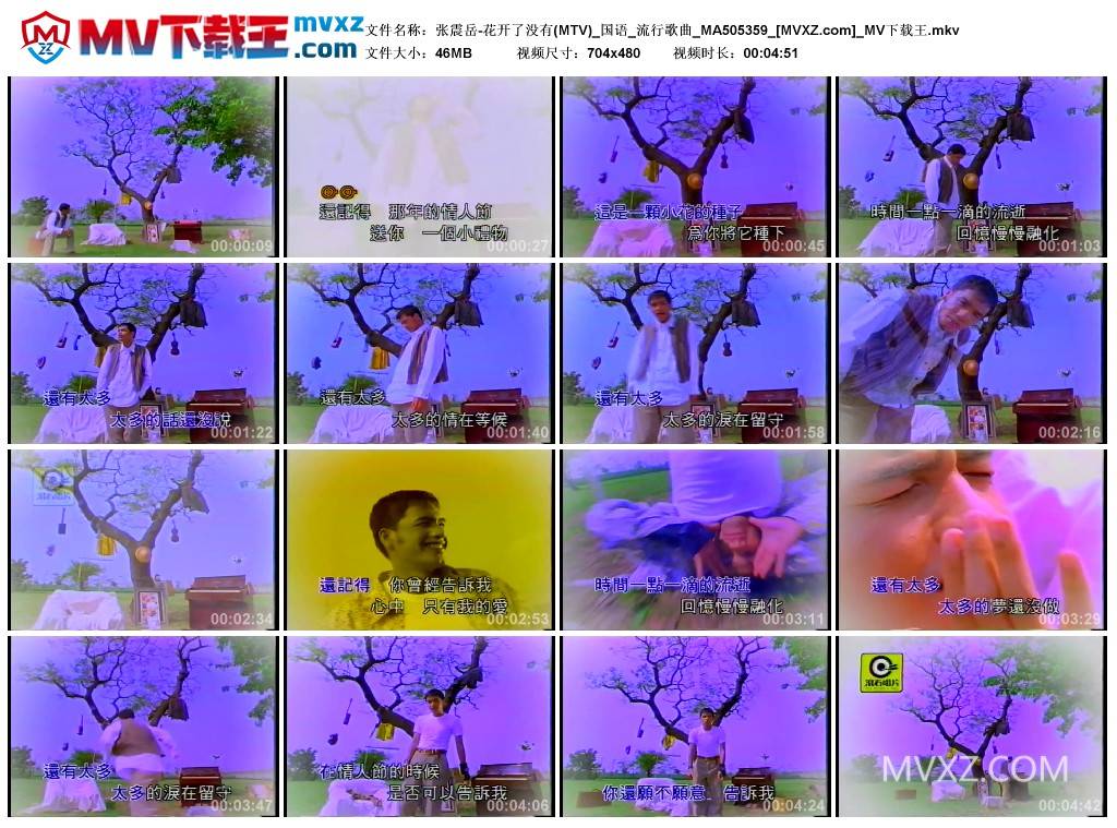 张震岳-花开了没有(MTV)_国语_流行歌曲_MA505359